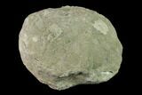 Keokuk Geode with Calcite Crystals - Missouri #135013-1
